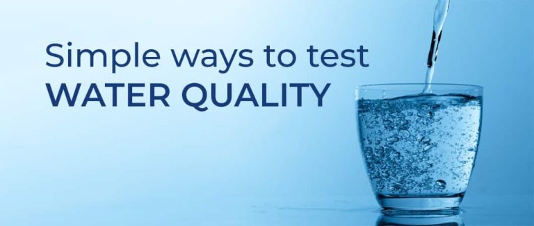 Simple ways to test Water Quality