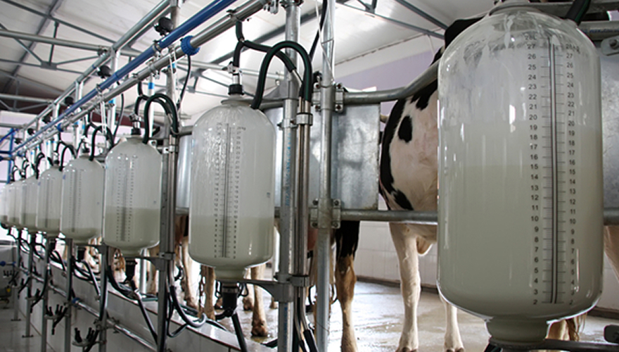 Hydromo Designs & Engineers Effluent Treatment Plant in the Dairy Sector Using DAF for the First Time