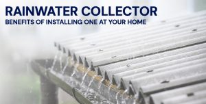Rain water collector