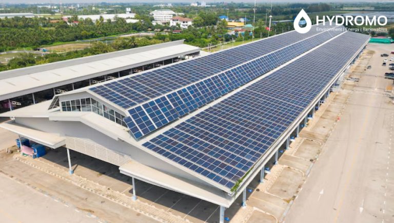 How Effectively Are Businesses Using Solar Energy to Generate Electricity