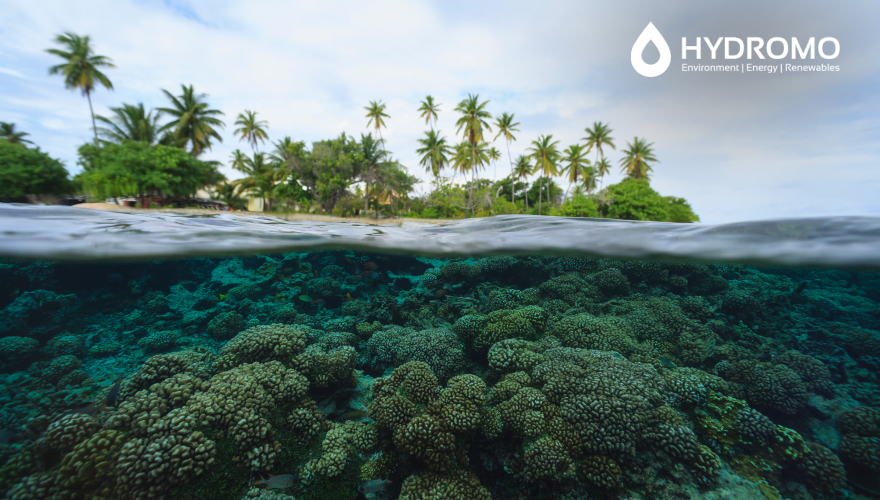 Why ETP Plays a Crucial Role in Coral Reefs
