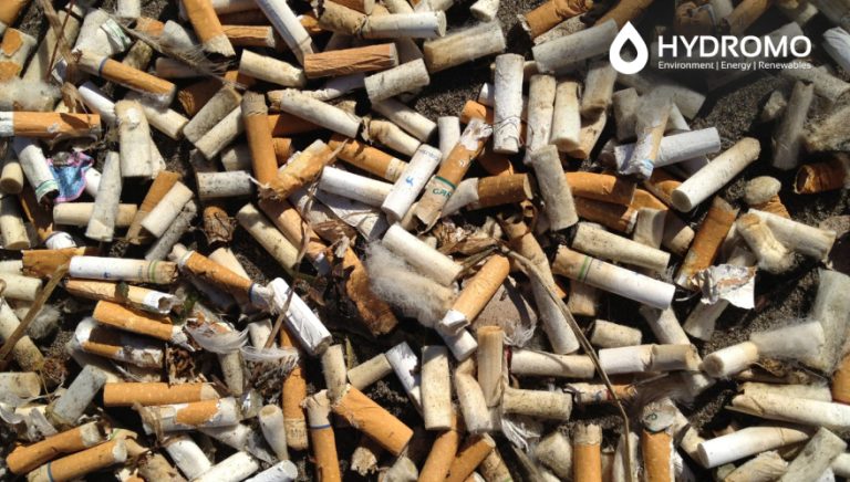 Cigarette Butt Pollution: The Hidden Threat to Water, Wildlife, and Health