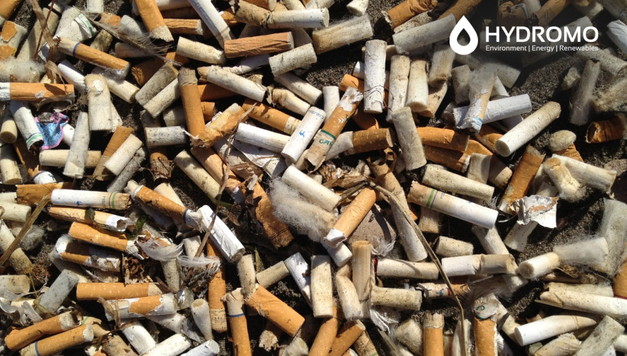 Cigarette Butt Pollution: The Hidden Threat to Water, Wildlife, and Health