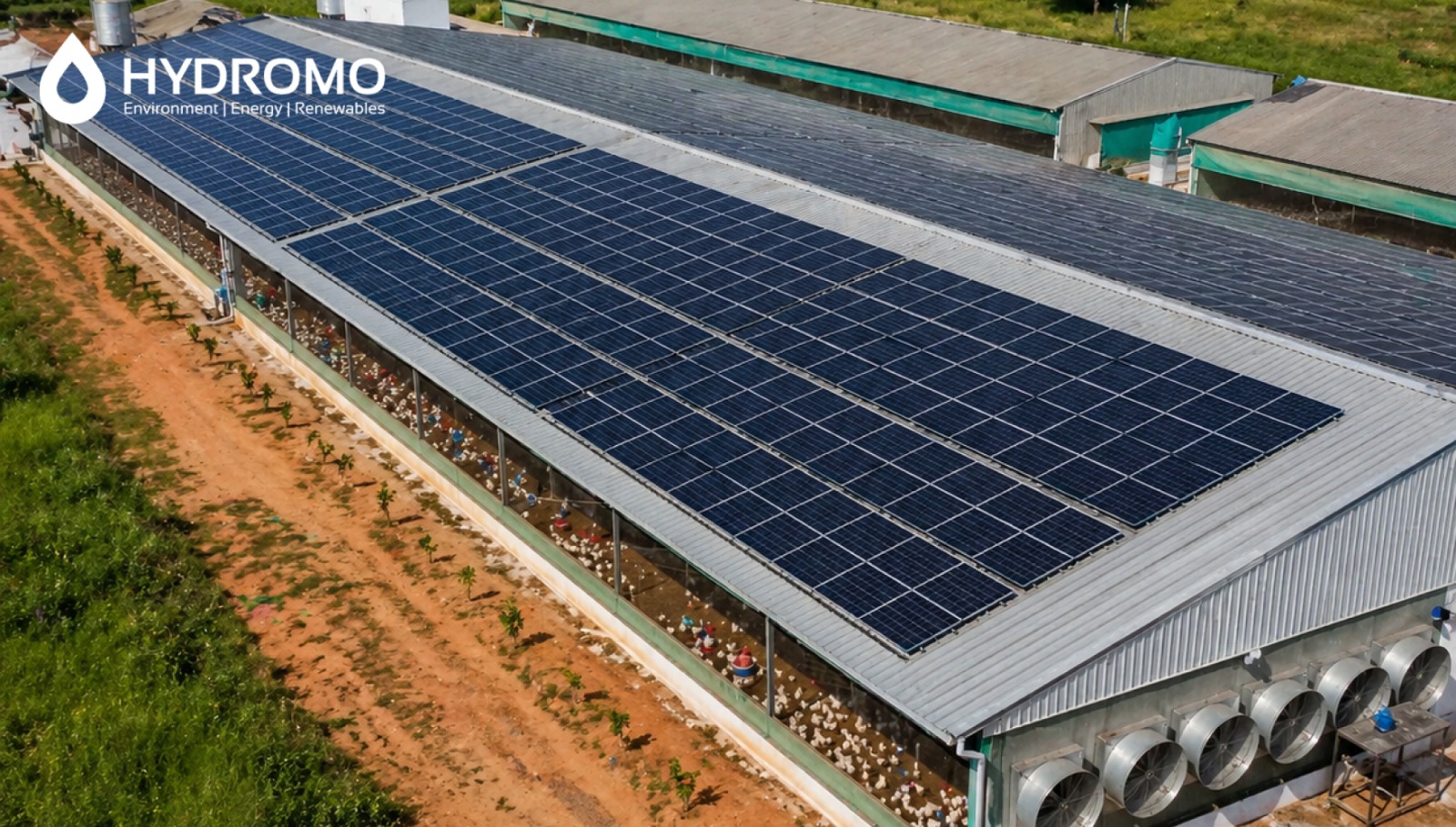 Solar Panels for Poultry Farms in India